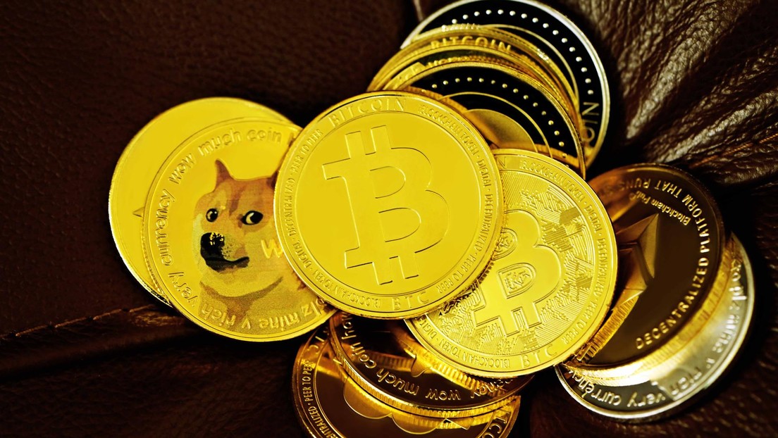 Un desconocido invierte 36,8 millones de dólares en la criptomoneda Shiba Inu