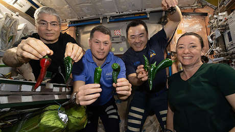 La tripulación de la Crew Dragon de SpaceX se verá obligada a usar pañales en su viaje de vuelta a la Tierra