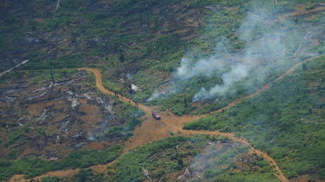 Bolsonaro dice a inversores en Dubái que la Amazonía «no se incendia» al ser «un bosque húmedo»