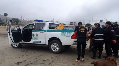 Un video viral muestra a rescatistas dejando caer a un supuesto herido durante un simulacro en Perú y resulta que 'Los Simpsons' lo predijeron