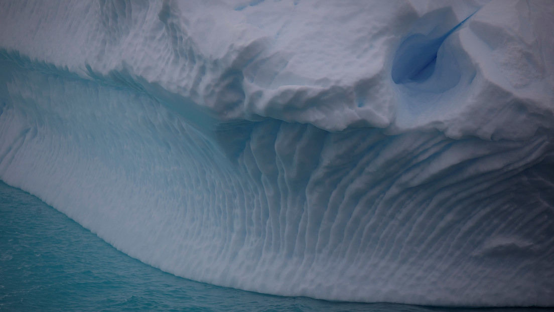 Un inesperado "oasis de vida": científicos hallan 77 especies de animales bajo la gruesa capa de hielo de la Antártida