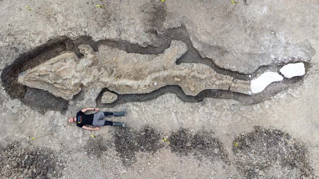 FOTOS: Hallan los restos del 'dragón marino' más grande jamás excavado en el Reino Unido