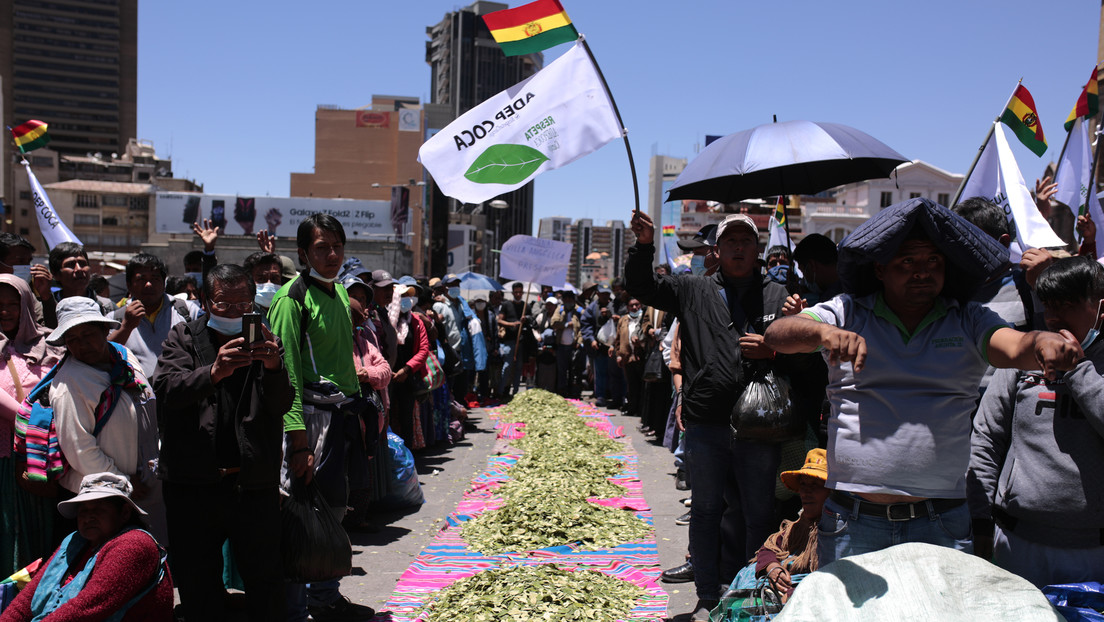 ¿Qué es el acullico y por qué tiene un Día Nacional en Bolivia?