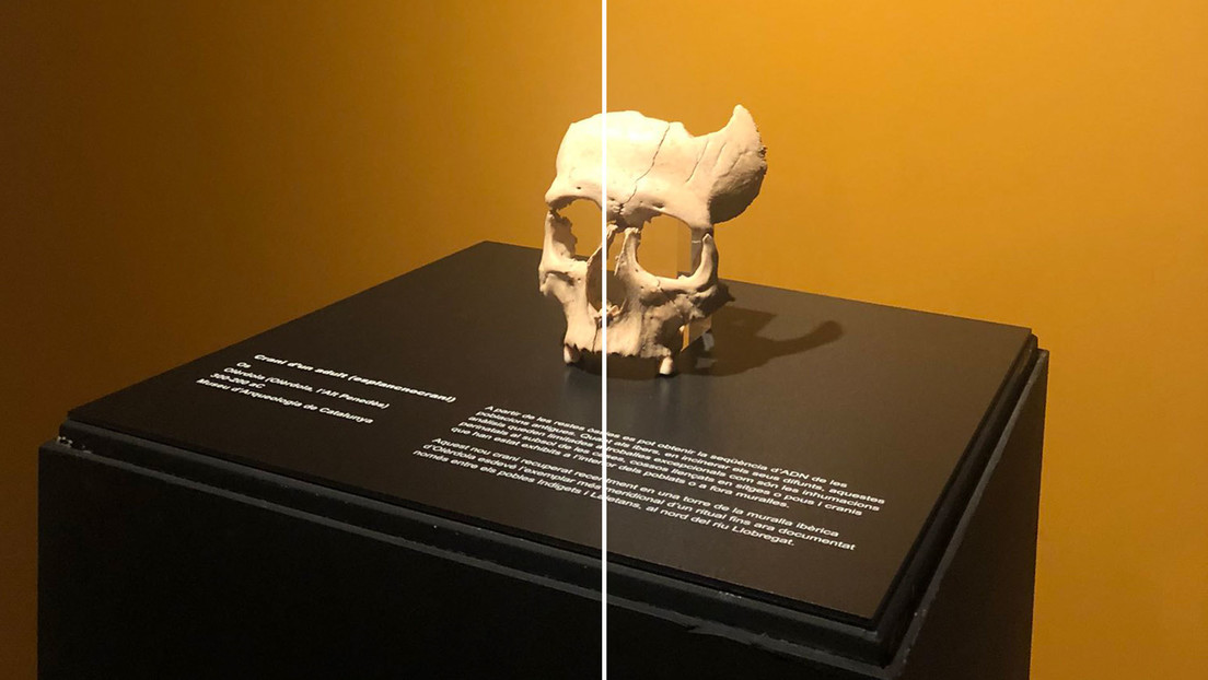 "Hallazgo excepcional": Encuentran en España el cráneo seccionado de un íbero de hace 2.200 años que permitirá reconstruir el origen de estos grupos