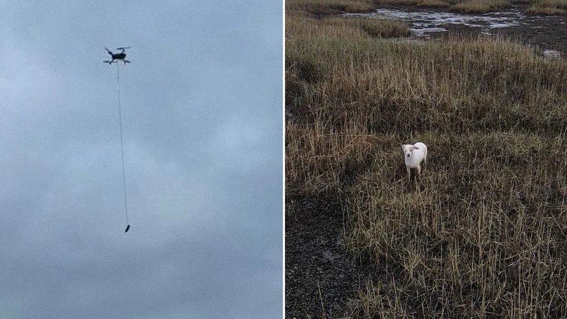 Rescatistas británicos logran sacar a un perro de una marisma usando una salchicha atada a un dron