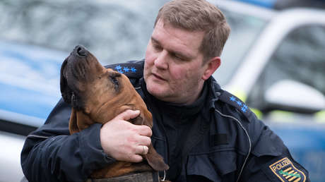 La Policía de Alemania retira de su servicio a decenas de perros tras la entrada en vigor de una nueva ley de bienestar animal