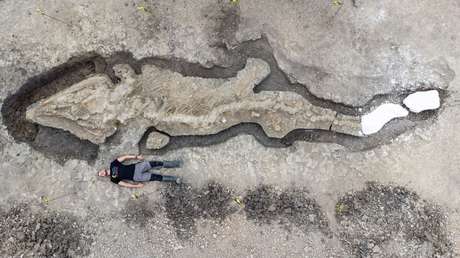 FOTOS: Hallan los restos del 'dragón marino' más grande jamás excavado en el Reino Unido