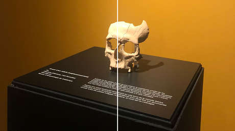 «Hallazgo excepcional»: Encuentran en España el cráneo seccionado de un íbero de hace 2.200 años que permitirá reconstruir el origen de estos grupos