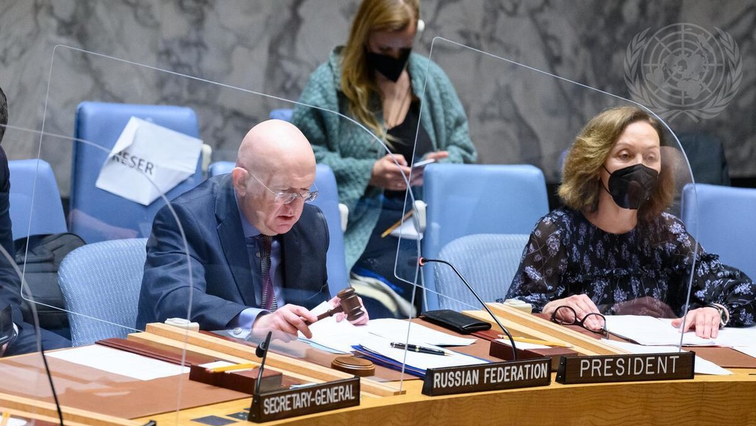 Russia in UN: "Kiev does not need Donbass people, only their land"