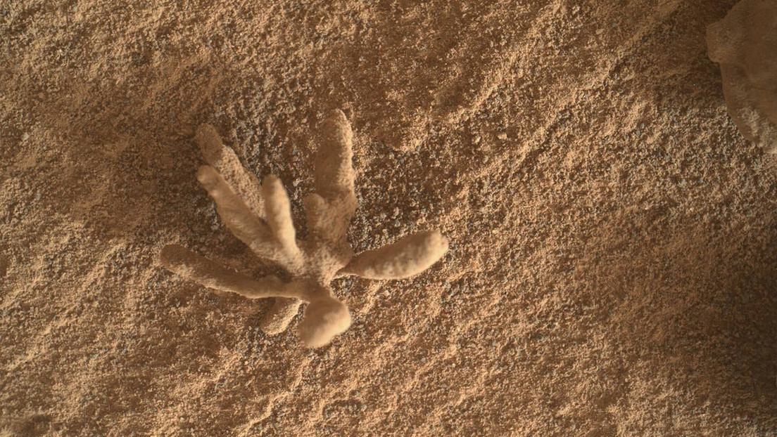 NASA’s Curiosity rover discovers a coral-shaped mineral formation on Mars (PHOTO)