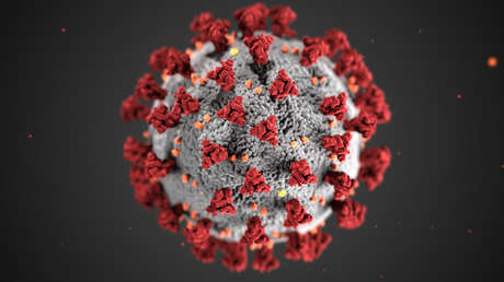 Qué reveló el primer experimento con voluntarios infectados deliberadamente con coronavirus