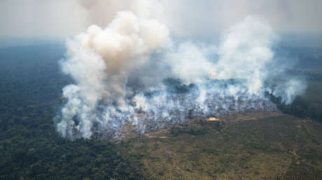 Los incendios forestales arrasan la Amazonía colombiana y el Gobierno declara la alerta ambiental