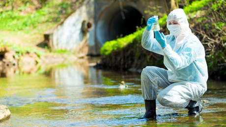 Descubren una alta contaminación farmacéutica en los ríos del mundo: ¿por qué es una "amenaza global"?