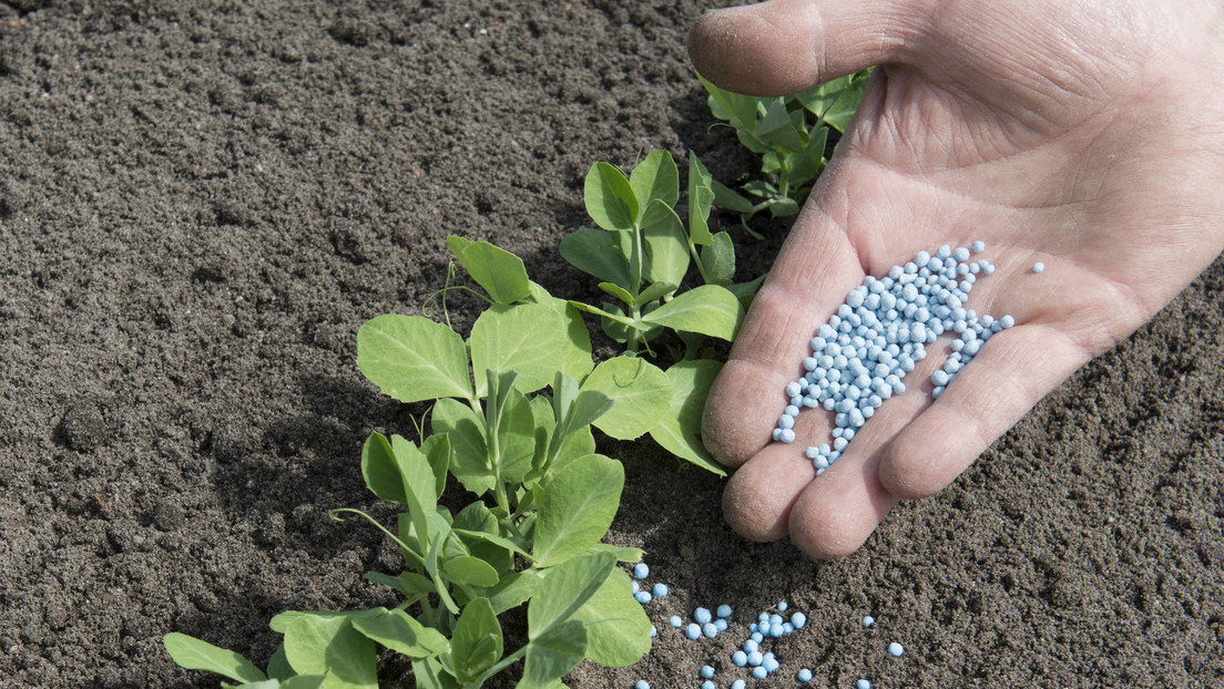 EE.UU. da luz verde a los fertilizantes rusos: cómo las sanciones afectaron a las exportaciones agrícolas