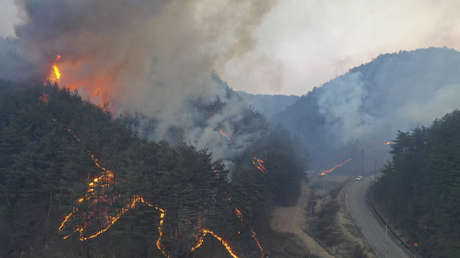 Un fuerte incendio forestal cerca de una planta nuclear obliga a miles de personas a huir de sus hogares en Corea del Sur