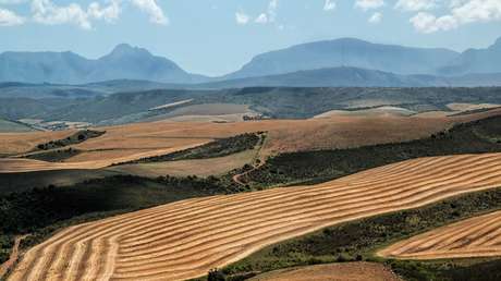 Crean un mapa que reubicará las tierras de cultivo y retrocederá el reloj veinte años en emisiones de carbono