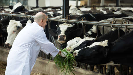 La industria láctea española paraliza su producción por la huelga de transporte
