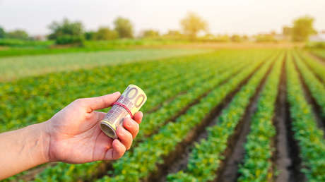 Los agricultores alemanes advierten de una subida de precios en los alimentos "sin precedentes" en el marco de la crisis ucraniana