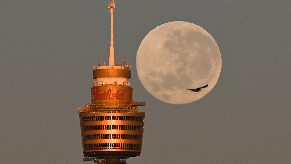 La mayor y más brillante superluna de 2022 iluminará el cielo este julio: ¿cuándo y cómo verla?