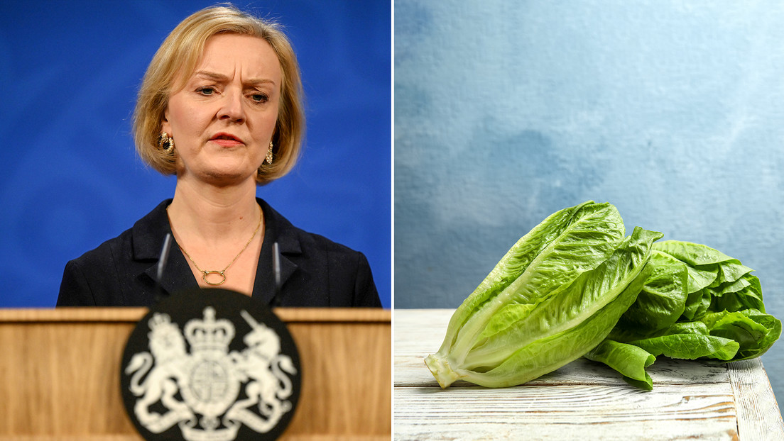 ¿Qué 'caducará' antes: el mandato de Liz Truss o una lechuga?: un diario británico lanza un curioso experimento