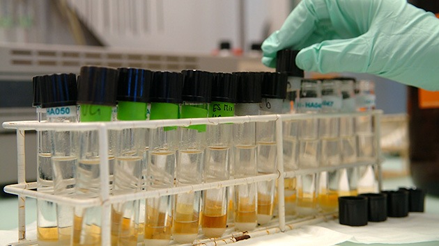 Conciben un examen de sangre para la detección temprana del 50% de los cánceres