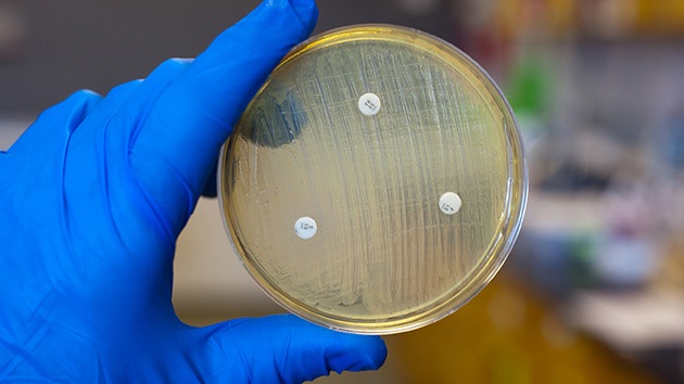 Los antibióticos nos llevarán a un escenario 'apocalíptico'