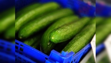 La 'guerra del pepino' da un nuevo golpe a la economía de España