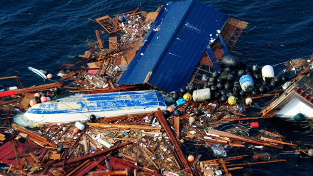 Alerta en EE.UU. por especies invasoras arrastradas desde Japón por el tsunami