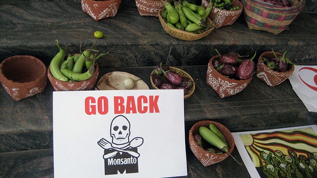 Obama aprueba la ley que libera de responsabilidades legales a Monsanto
