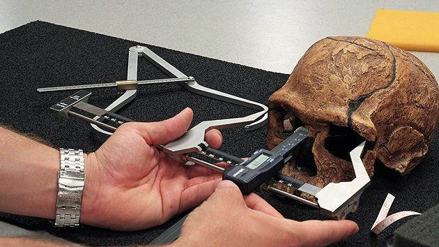 La caída de la testosterona hace 50.000 años cambió los cráneos e inició un brote cultural