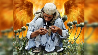 Las flores del mal, en Afganistán