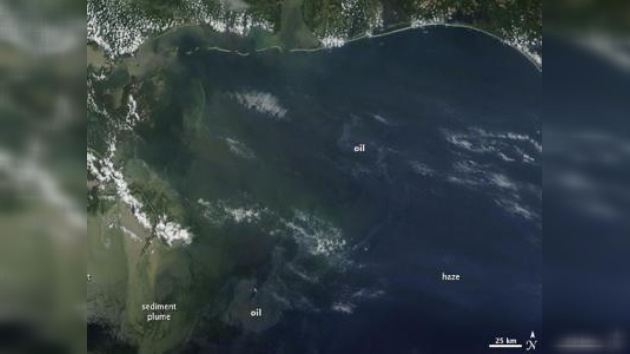 Expertos ven el metano como uno de los causantes de la mortandad