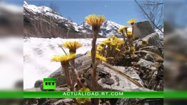 ENCUENTROS CON LA NATURALEZA : TEBERDÁ
