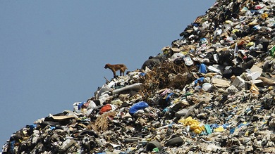 Los 7 escenarios más probables para la desaparición de la humanidad