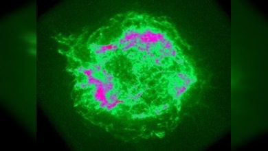 Supernovas "siembran" el espacio de materia para la vida