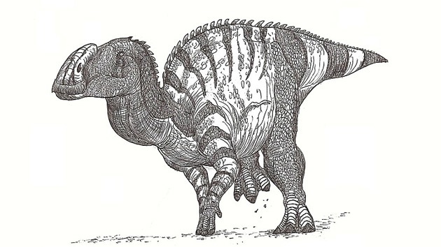México halla fósiles de un dinosaurio narigudo