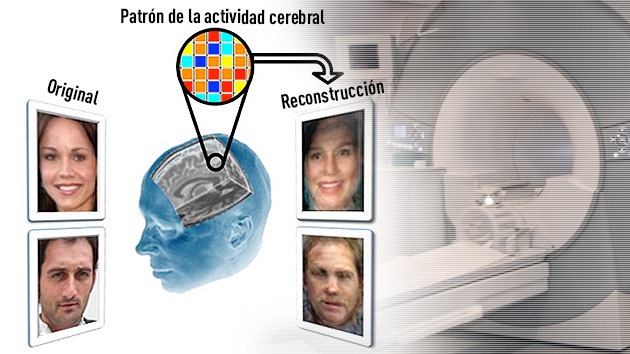 Video: Científicos desarrollan un nuevo método para leer la mente y 'ver' los pensamientos