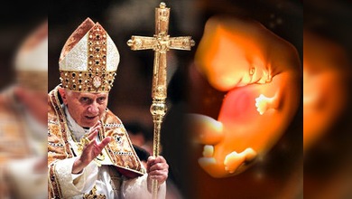 El Vaticano dice 'no' a los estudios de células embrionarias