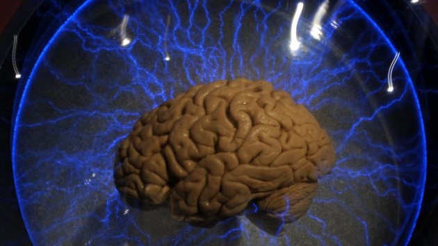 En EE.UU. tratan de desarrollar computadoras que piensen como los humanos