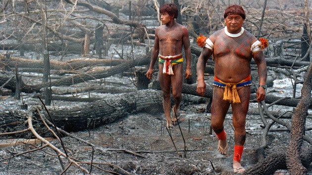 Los incendios forestales convertirán al 'pulmón del planeta' en un desierto estéril