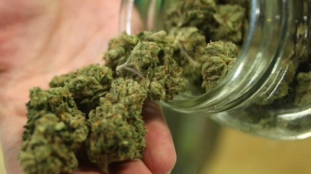 Crean un análisis de ADN para detectar hongos y bacterias en la marihuana