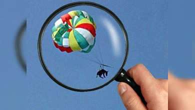 ¿Condena penitenciaria por maltrato animal?