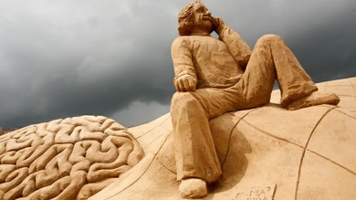 Misterio resuelto: el cerebro de Einstein no era único