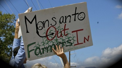 Nuevo México contra Monsanto: pretenden que la empresa etiquete los productos transgénicos