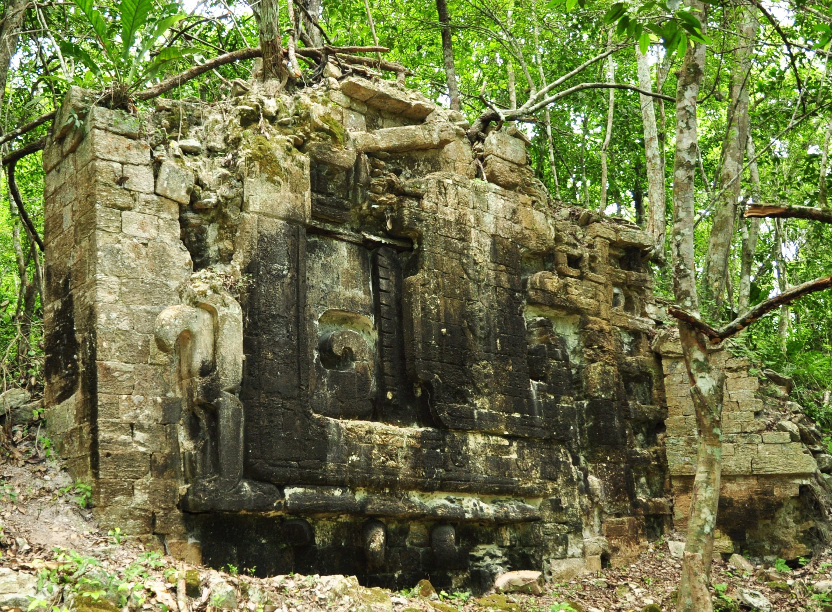 Fotos: Descubren Dos Impresionantes Ciudades Maya En La Selva De México ...