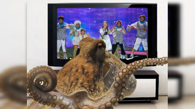 El pulpo Afonia podría predecir los ganadores del Eurovisión infantil