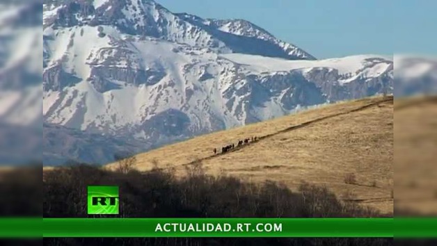 ENCUENTROS CON LA NATURALEZA : LA RESERVA DEL CÁUCASO