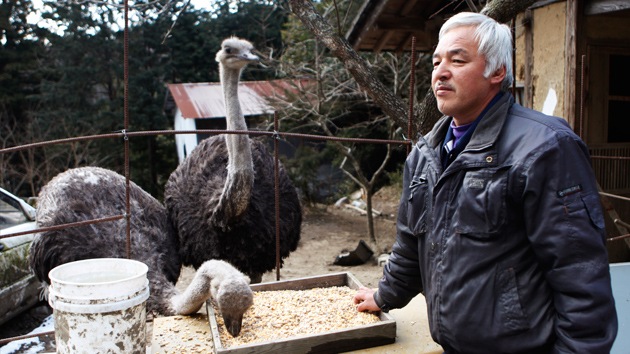 La historia del japonés que volvió a la zona radiactiva para cuidar a los animales