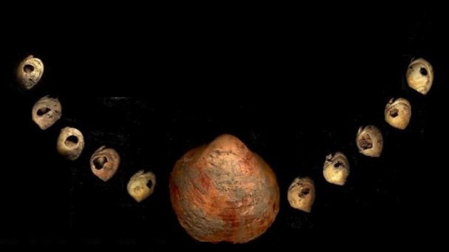 Hallan en el Líbano un collar de conchas de 42.000 años de antigüedad