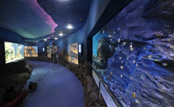 Tiburones y anacondas, ahora en el acuario más grande de Moscú